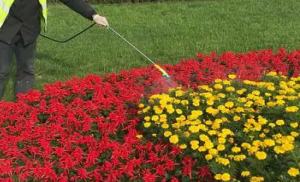 昆山工廠(chǎng)綠化養(yǎng)護(hù)淺談工廠(chǎng)綠化的特殊意義！